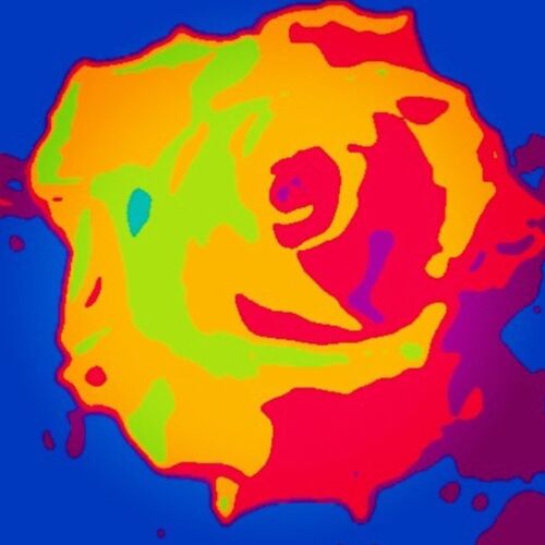 Funky flower Thumbnail